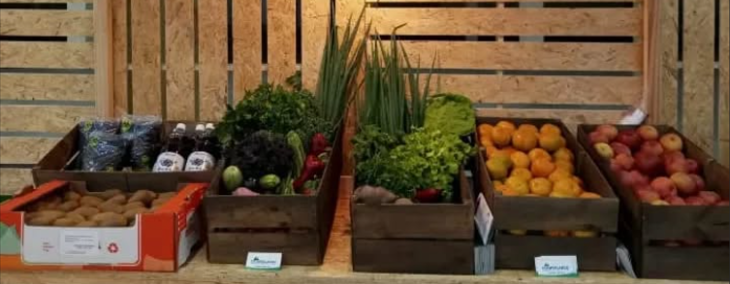 Banner Coopertretina